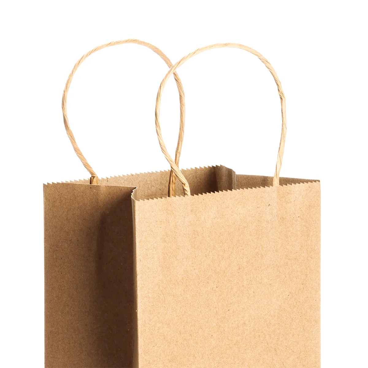 Bolsa personalizada Pinus con logo - foto 4